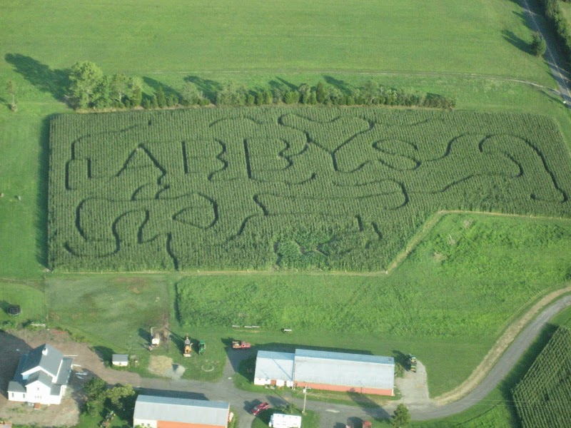 Abby's Pumpkins Corn Maze and Hayrides