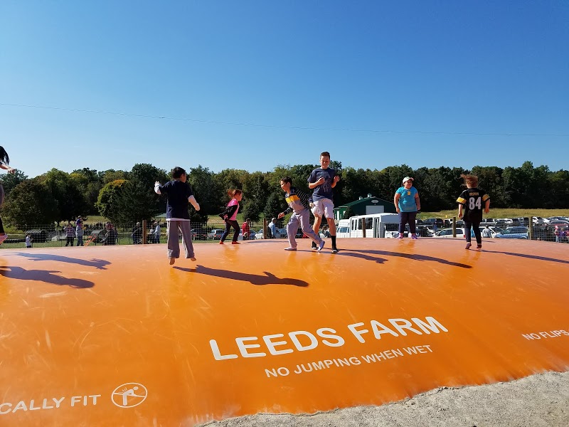 Leeds Farm