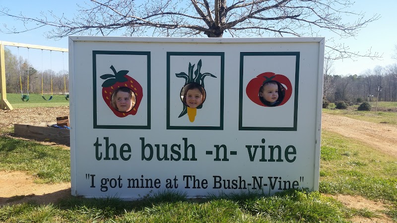 Bush-N-Vine Farm