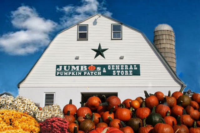 Jumbo's Pumpkin Patch