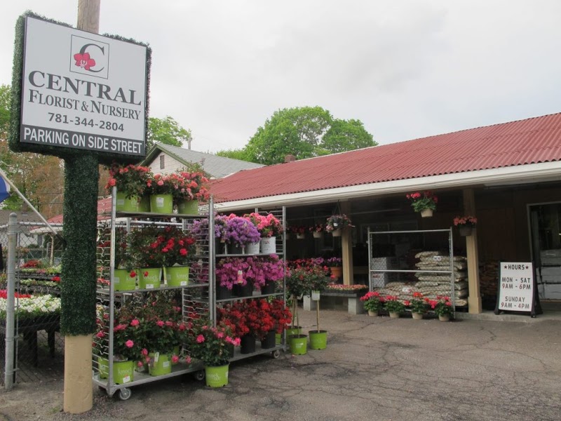 Central Florist & Nursery