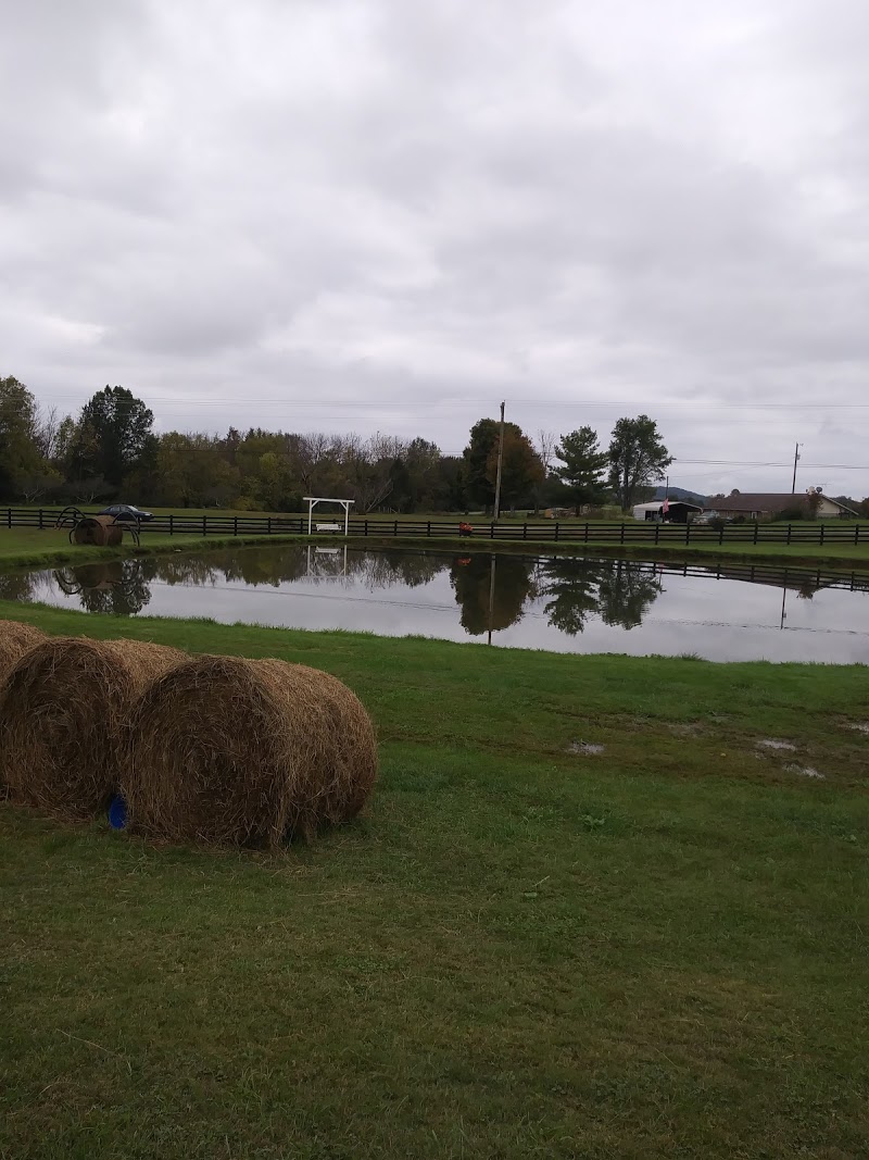 Slow Poke Farm spring, fall field trips, fall festival