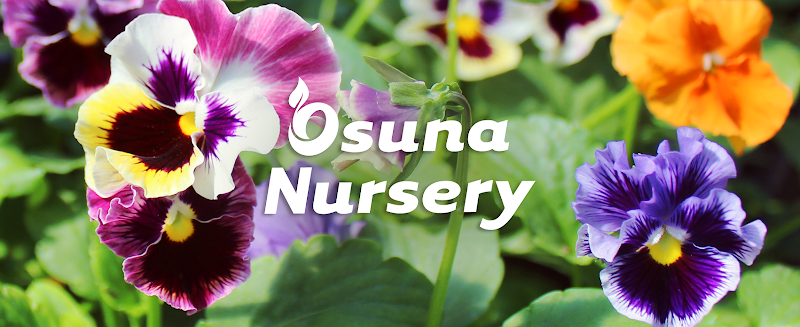 Osuna Nursery
