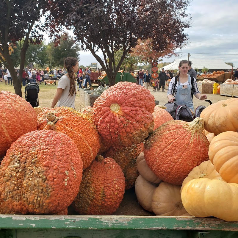 Bishop's Pumpkin Farm