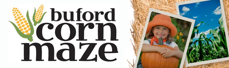 Buford Corn Maze