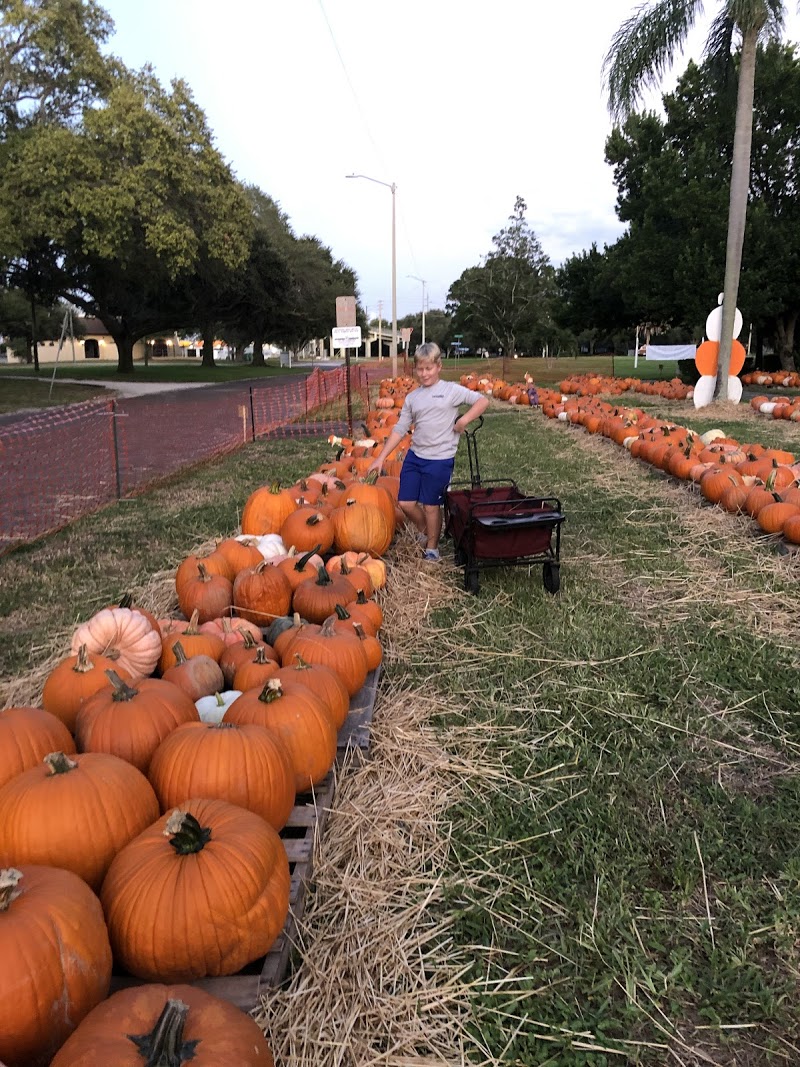 Pumpkin patch by PCC youth ministry