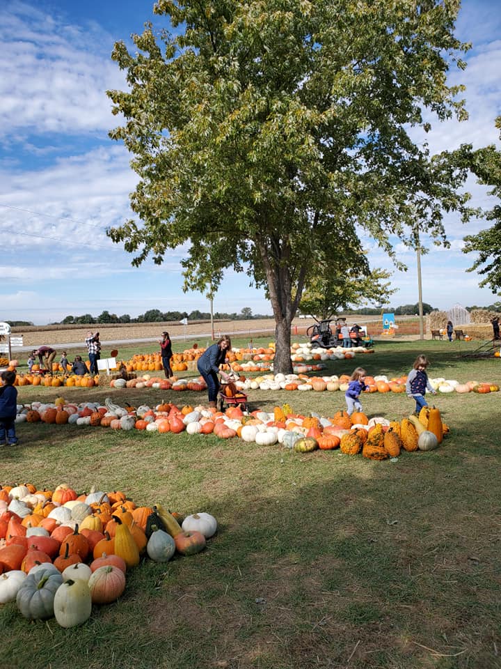 Rinkel Pumpkin Farm