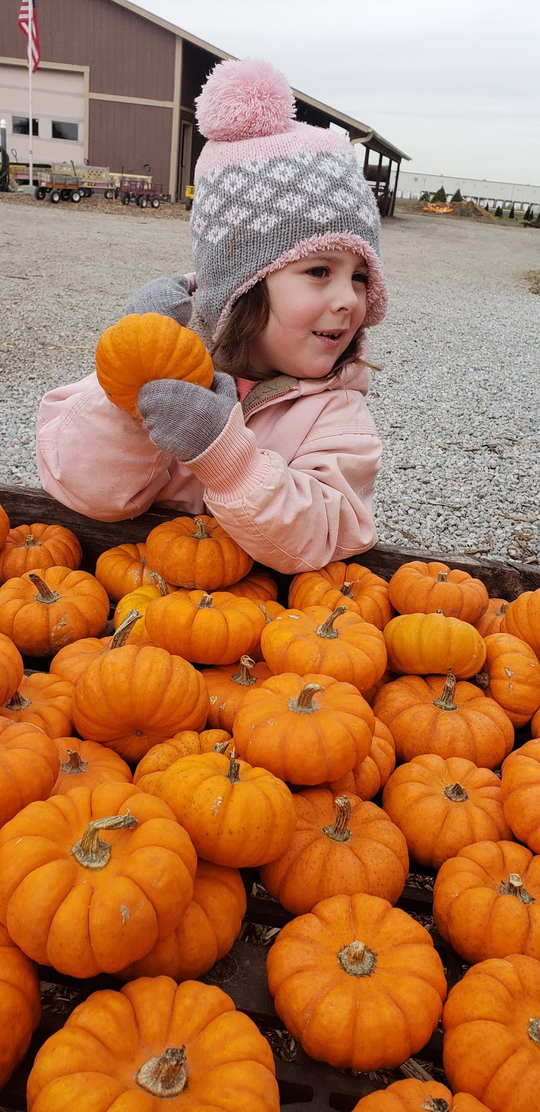 The Pumpkin Peddler