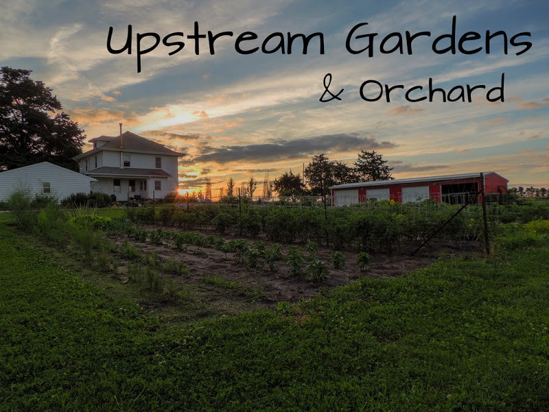 Upstream Gardens & Orchard