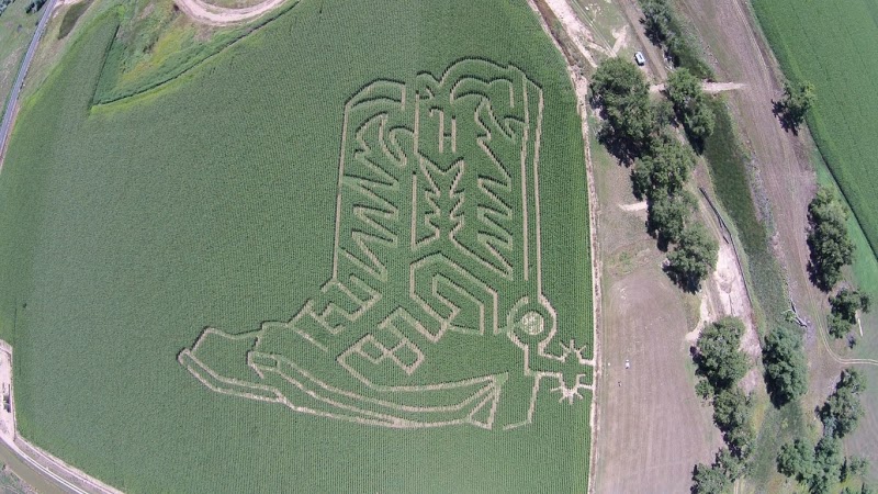 Hankins Farms Corn Maze & Pumpkin Patch